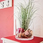 아파트 Friesenhaus-app-2 베스터란트